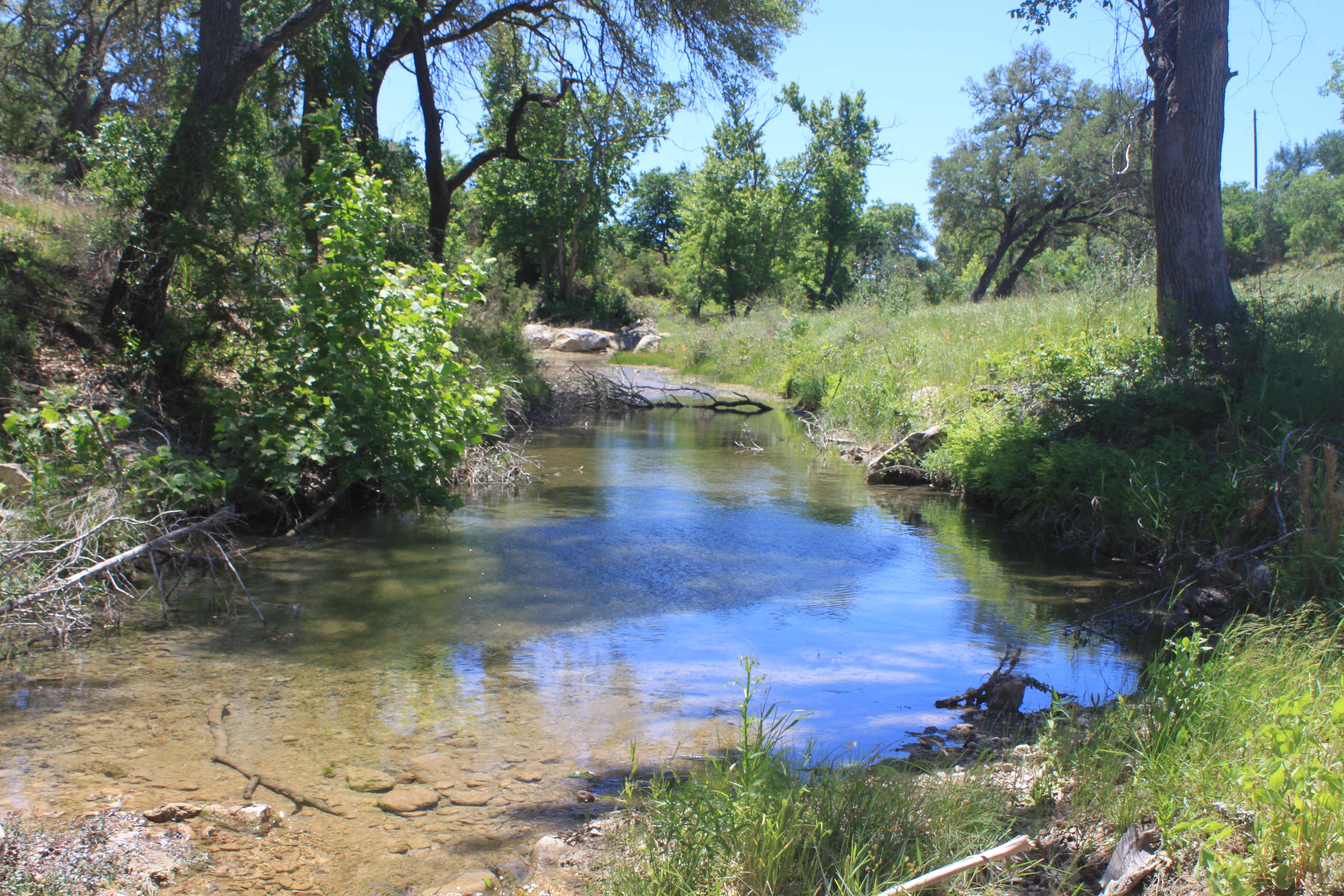 The Texas Ranch Company 