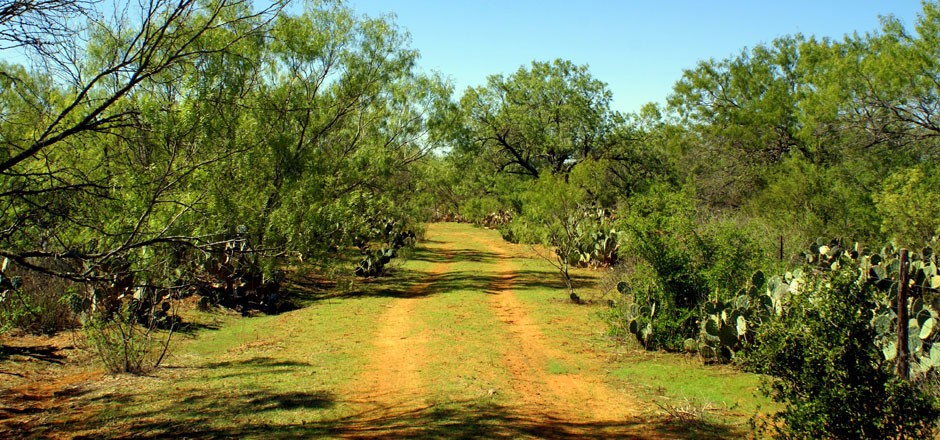 The Texas Ranch Company | The Texas Ranch Company