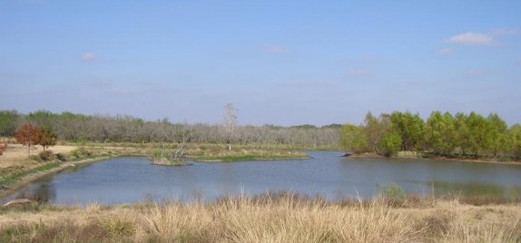 EL ASILO RANCH, 2870 acres, Frio County, TX | The Texas Ranch Company