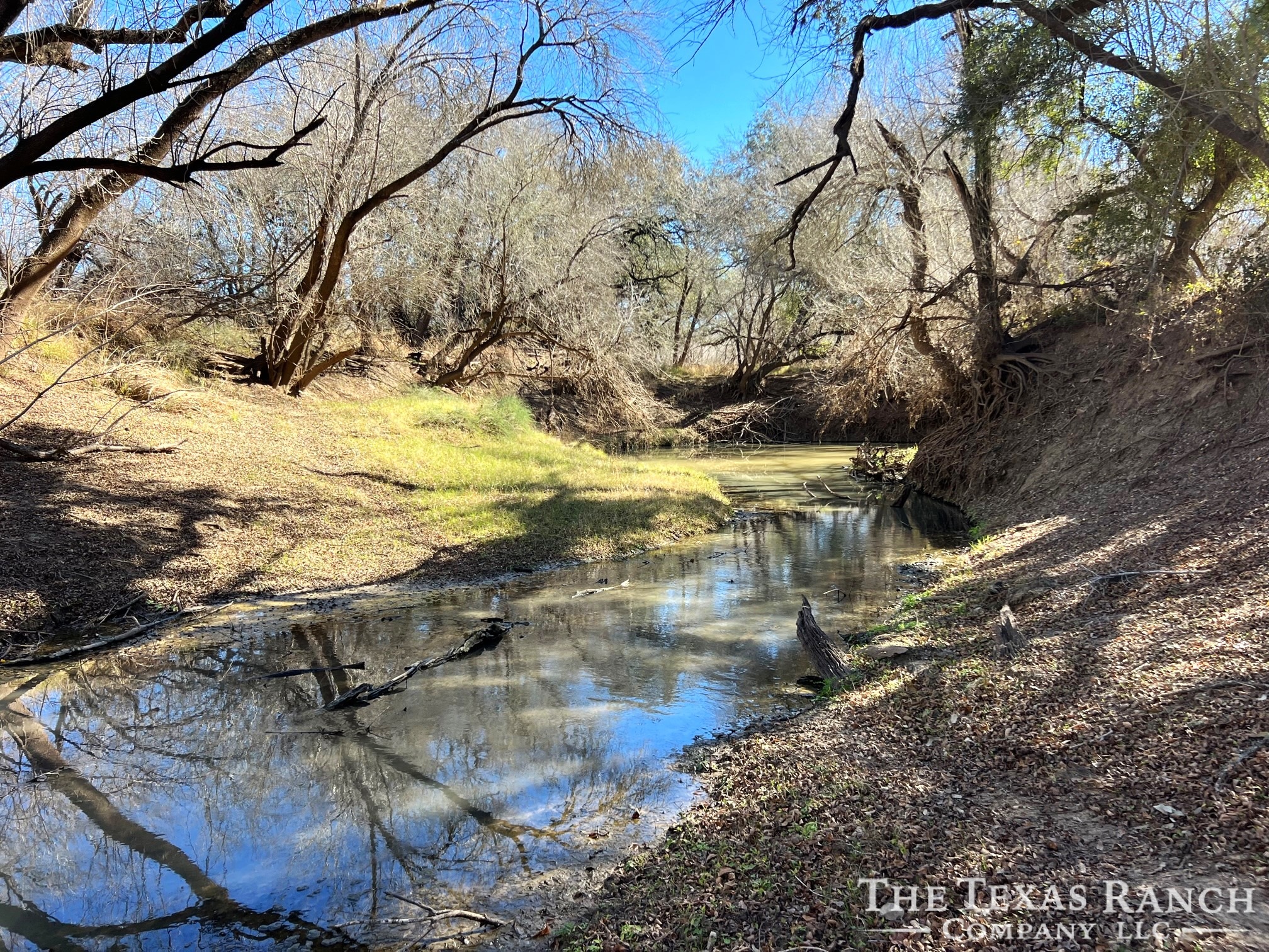 La Salle | County / State | The Texas Ranch Company